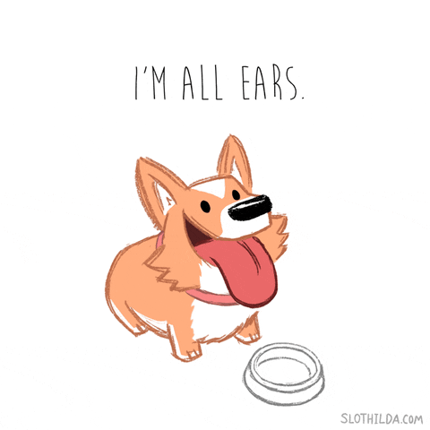 A gif of a dog with the words "I'm All Ears"