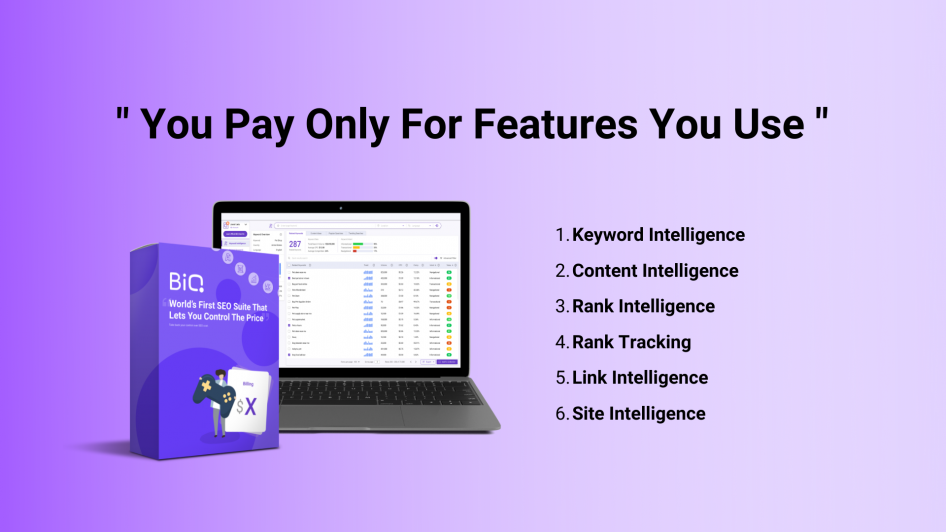 BiQ SEO suite 6 main features and it's unique selling point