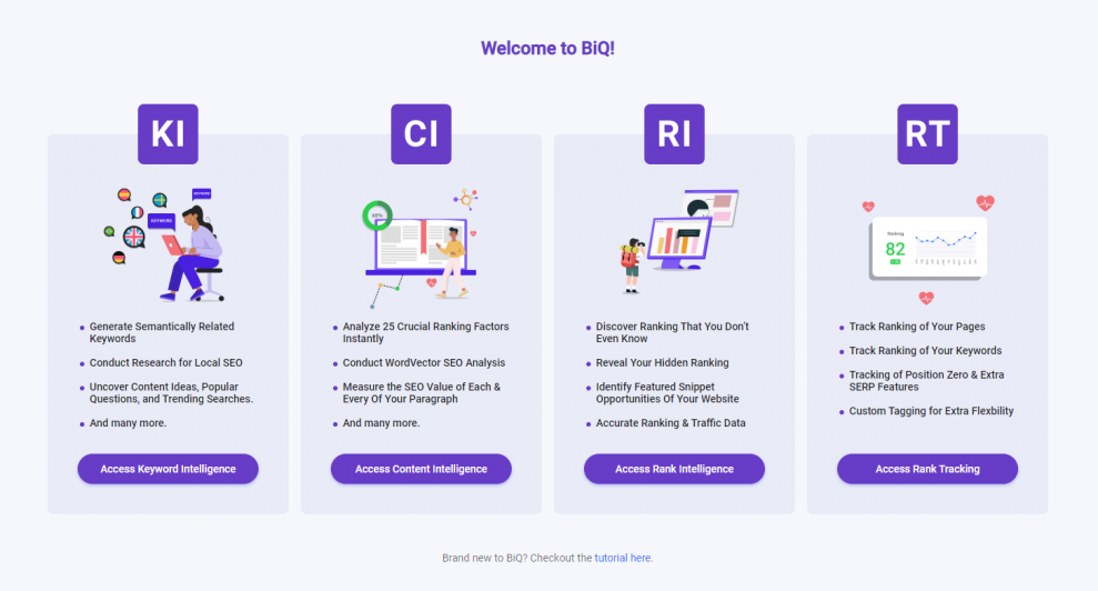 Learn how to use BiQ SEO Suite