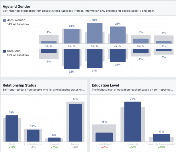 Demographics tab in Facebook audience insights tool