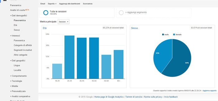 Use Google Analytic to build buyer persona