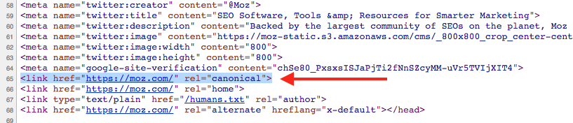 Canonical Tags [2021 SEO] - Moz