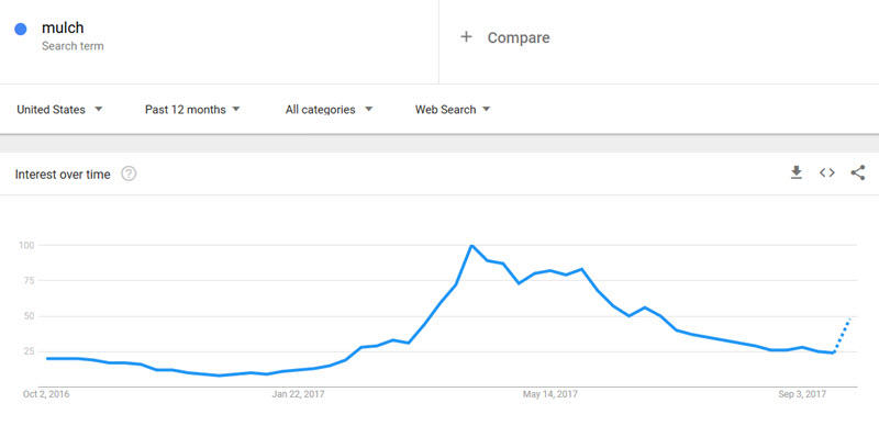 Google Search Trends for the keyword SEO 