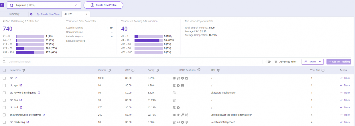 Returned results as seen on BiQ Rank Intelligence