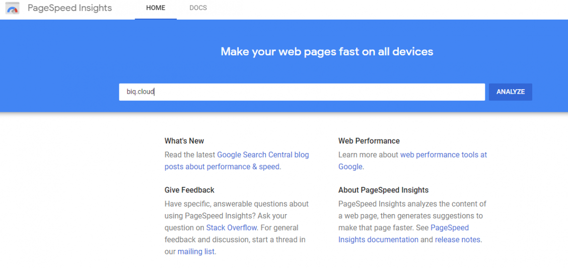 Page speed check done on Google's domain with Google PageSpeed Insights