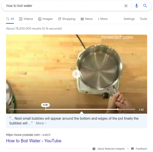 Google Snippet Example: Video