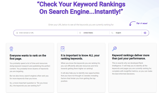 Use BiQ's Rank Intelligence as one of the brainstorming techniques to discover the competitors’ top-performing keywords and use them to generate your blog post ideas.