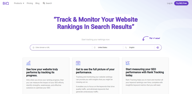 BiQ's Rank Tracking wireframe example