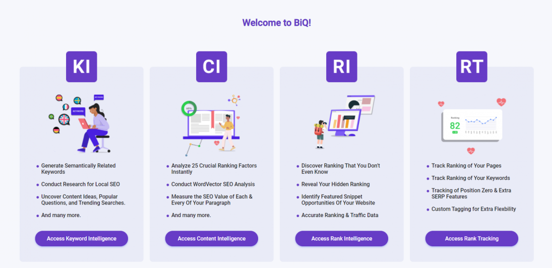 BiQ, all in one SEO Tool