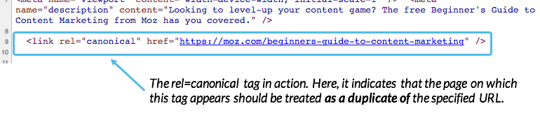 Canonical Tags [2021 SEO] - Moz