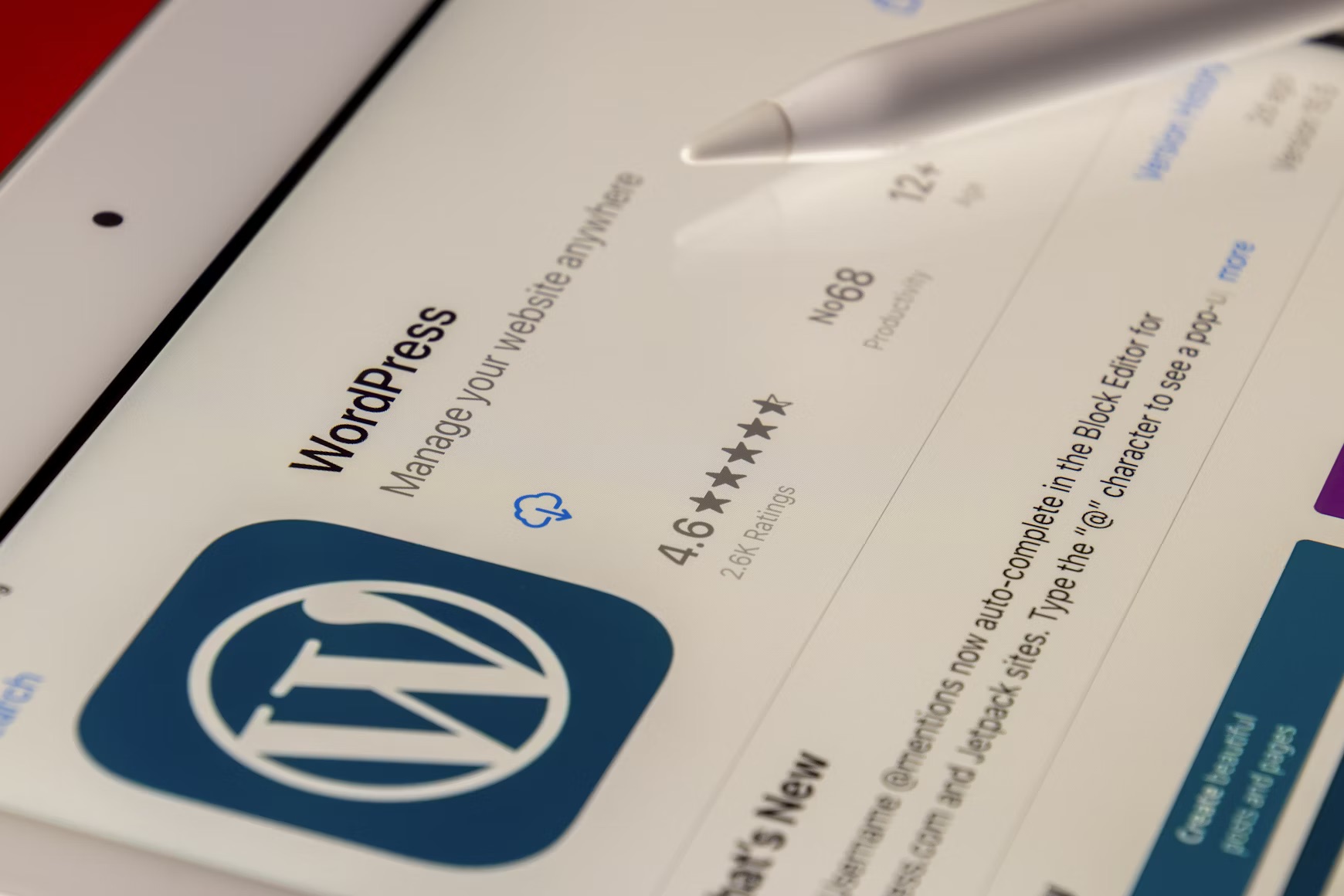 12 Best Accessibility Plugins for WordPress Sites in 2025
